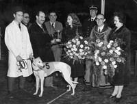 West Ham Stadium. Greyhound trophy presented by Diana Churchill. December 1947.