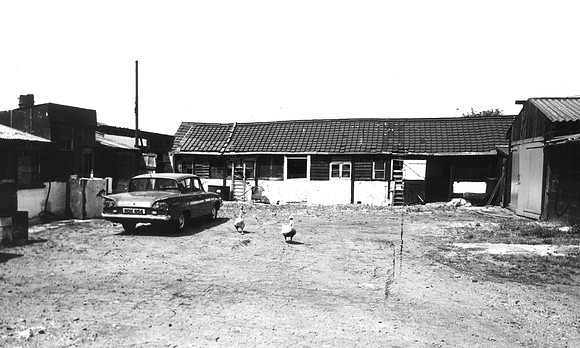 Beddall's Farm, Manor Way. Yard and outbuildings. July 1973.