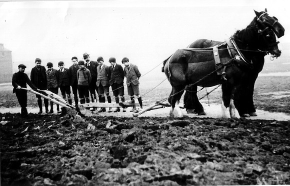 Ploughing in Brampton Park, East Ham.
